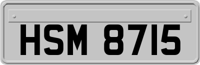 HSM8715