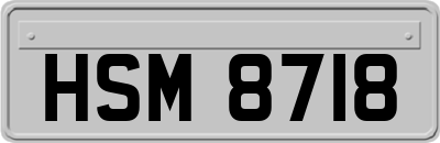 HSM8718
