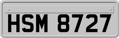 HSM8727