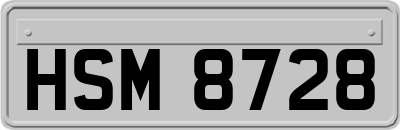 HSM8728