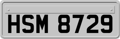 HSM8729