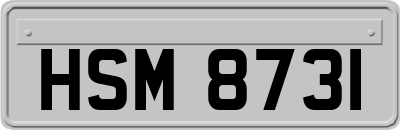 HSM8731