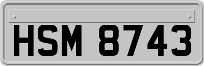 HSM8743