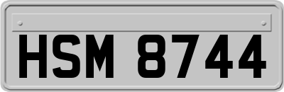 HSM8744