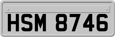 HSM8746