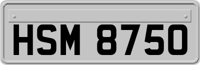 HSM8750