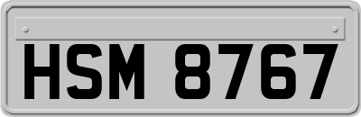 HSM8767