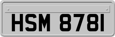 HSM8781