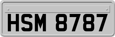 HSM8787