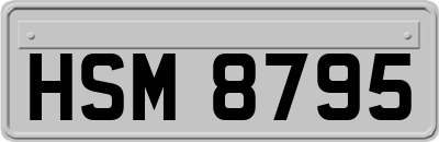 HSM8795