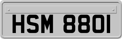 HSM8801