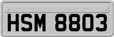 HSM8803