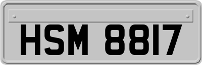 HSM8817