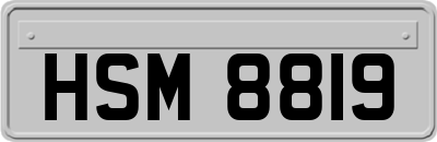 HSM8819