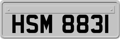 HSM8831