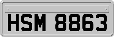 HSM8863
