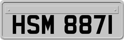 HSM8871