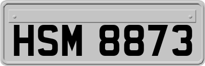 HSM8873