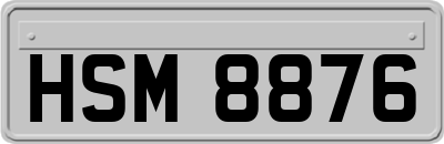 HSM8876