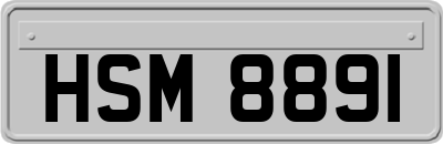 HSM8891