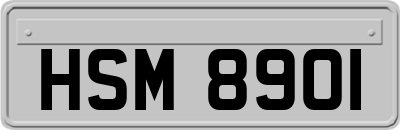 HSM8901