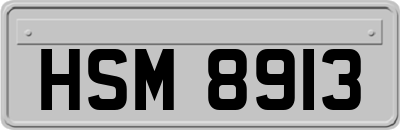 HSM8913