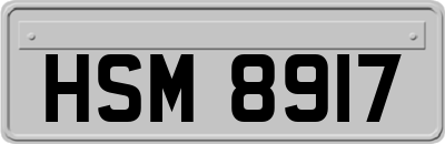 HSM8917