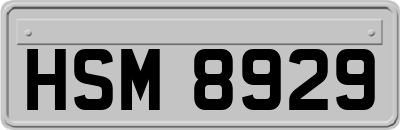 HSM8929