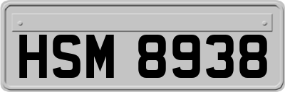 HSM8938