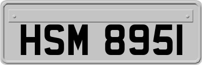 HSM8951