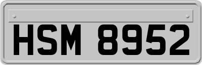 HSM8952