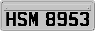 HSM8953