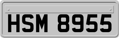 HSM8955