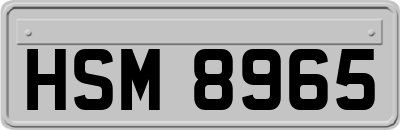 HSM8965