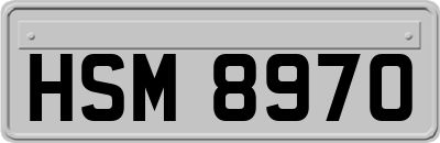 HSM8970