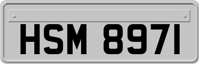 HSM8971