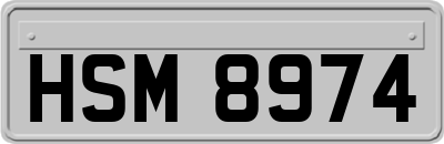 HSM8974
