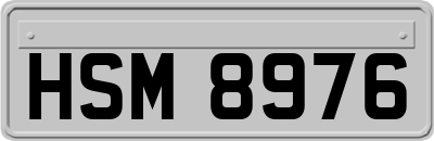 HSM8976