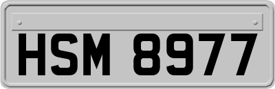 HSM8977