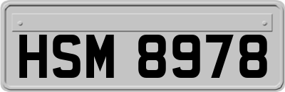 HSM8978