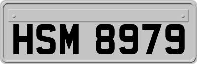 HSM8979