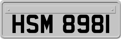 HSM8981