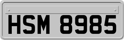 HSM8985