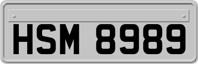 HSM8989