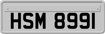 HSM8991