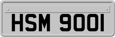 HSM9001