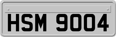 HSM9004