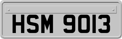 HSM9013