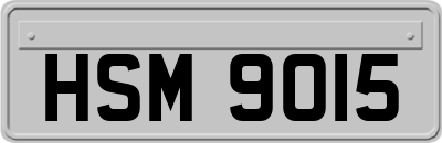 HSM9015