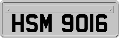 HSM9016